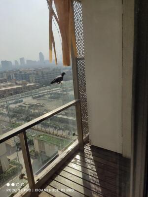 Lodha New Cuffe Parade - 2BHK, Floor 22